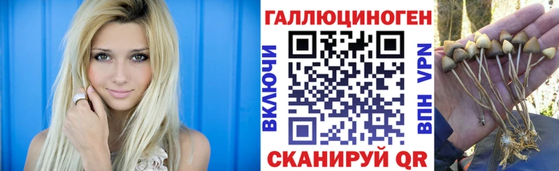 shop какой сайт  ОМГ ОМГ маркетплейс  Макаров  Галлюциногенные грибы мухоморы 